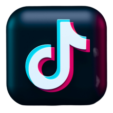 TikTok Downloader
